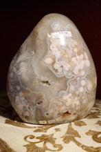 Load image into Gallery viewer, 12.3lbs Glittery Druzy Flower Agate Freeform with Quartz