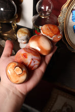 Load image into Gallery viewer, Funky Carnelian Palmstones