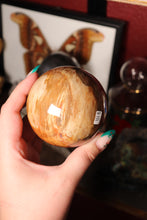 Load image into Gallery viewer, Colorful Petrified Wood Sphere