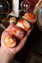Load image into Gallery viewer, Funky Carnelian Palmstones