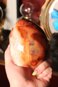 Charlie Carnelian Freeform with Quartz