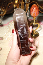 Load image into Gallery viewer, Semi-Polished Twin Termination Smokey Quartz Tower