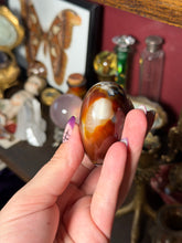 Load image into Gallery viewer, Orca x Carnelian x Quartz Heart