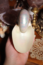 Load image into Gallery viewer, (1) Large Pearlized Nautilus Pompilus
