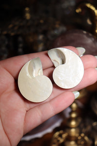 (1) Half-Cut Blue Nautilus Pair