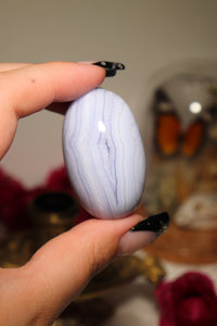 High Grade Blue Lace Agate Shiva