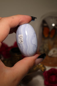 High Grade Blue Lace Agate Shiva