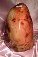 Load image into Gallery viewer, 14lbs XXL Peachy Carnelian Statement Freeform