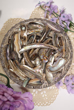 Load image into Gallery viewer, (1) Medium Abalone Shell