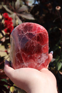 Semi-Polished, High Quality “Jelly” Rhodochrosite Freeform