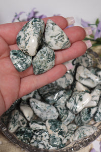 (1) Tree Agate Tumble