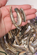 Load image into Gallery viewer, (1) Medium Abalone Shell