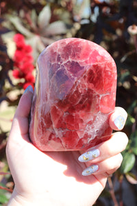 Semi-Polished, High Quality “Jelly” Rhodochrosite Freeform