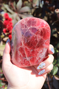 Semi-Polished, High Quality “Jelly” Rhodochrosite Freeform