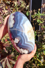 Load image into Gallery viewer, XXXL 31lbs Blue Flower Agate Shiva with Quartz