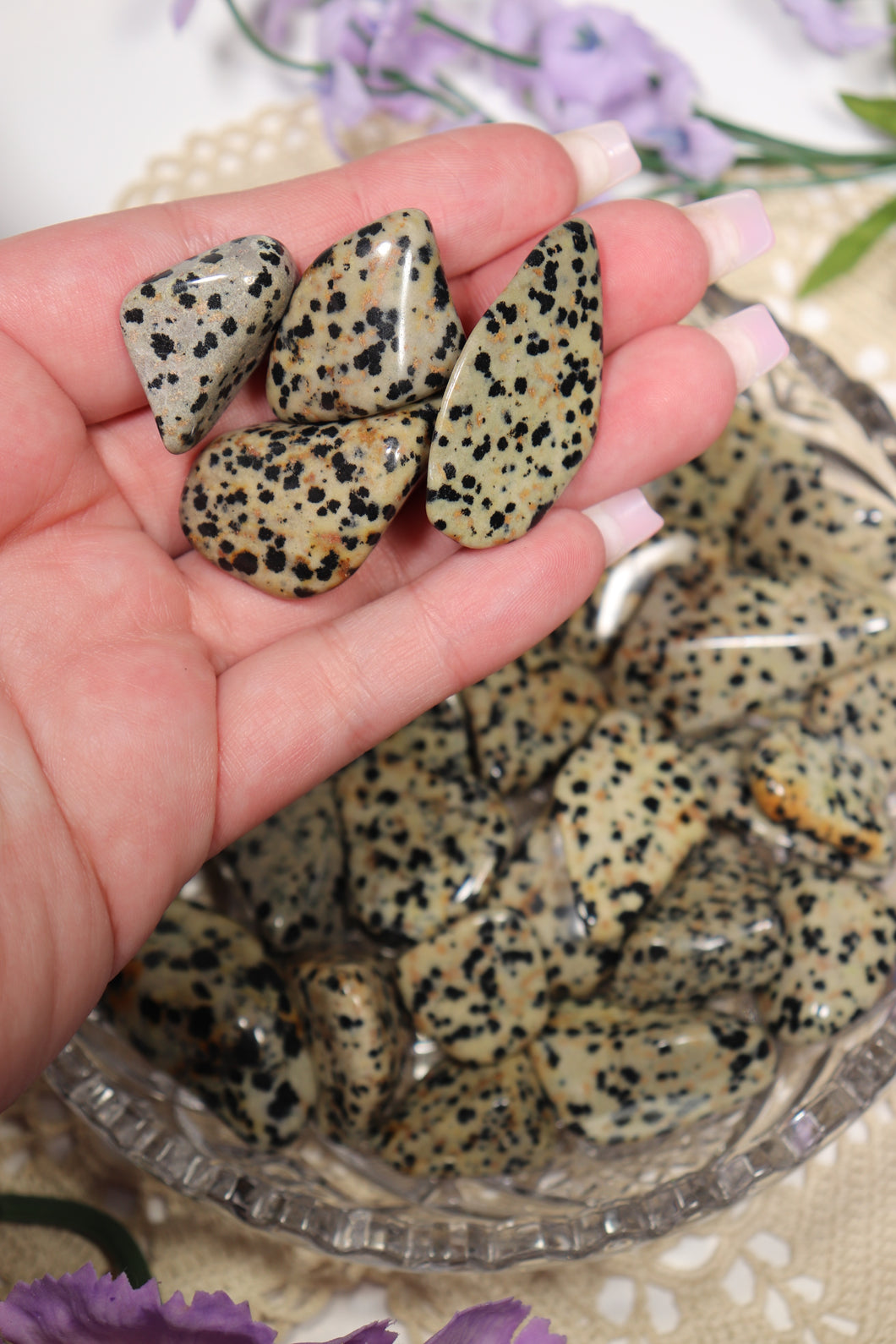 (1) Dalmatian Jasper Tumble