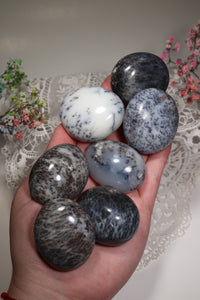 (1) Dendritic Opal Palmstone