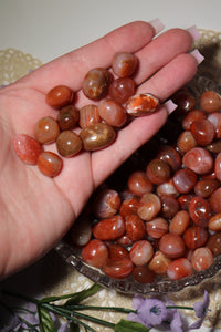 (1) Carnelian Agate Mini Pebble