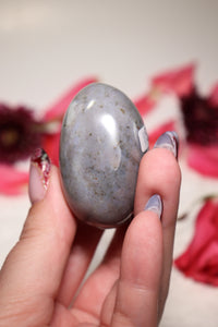 Ocean Jasper Palmstone