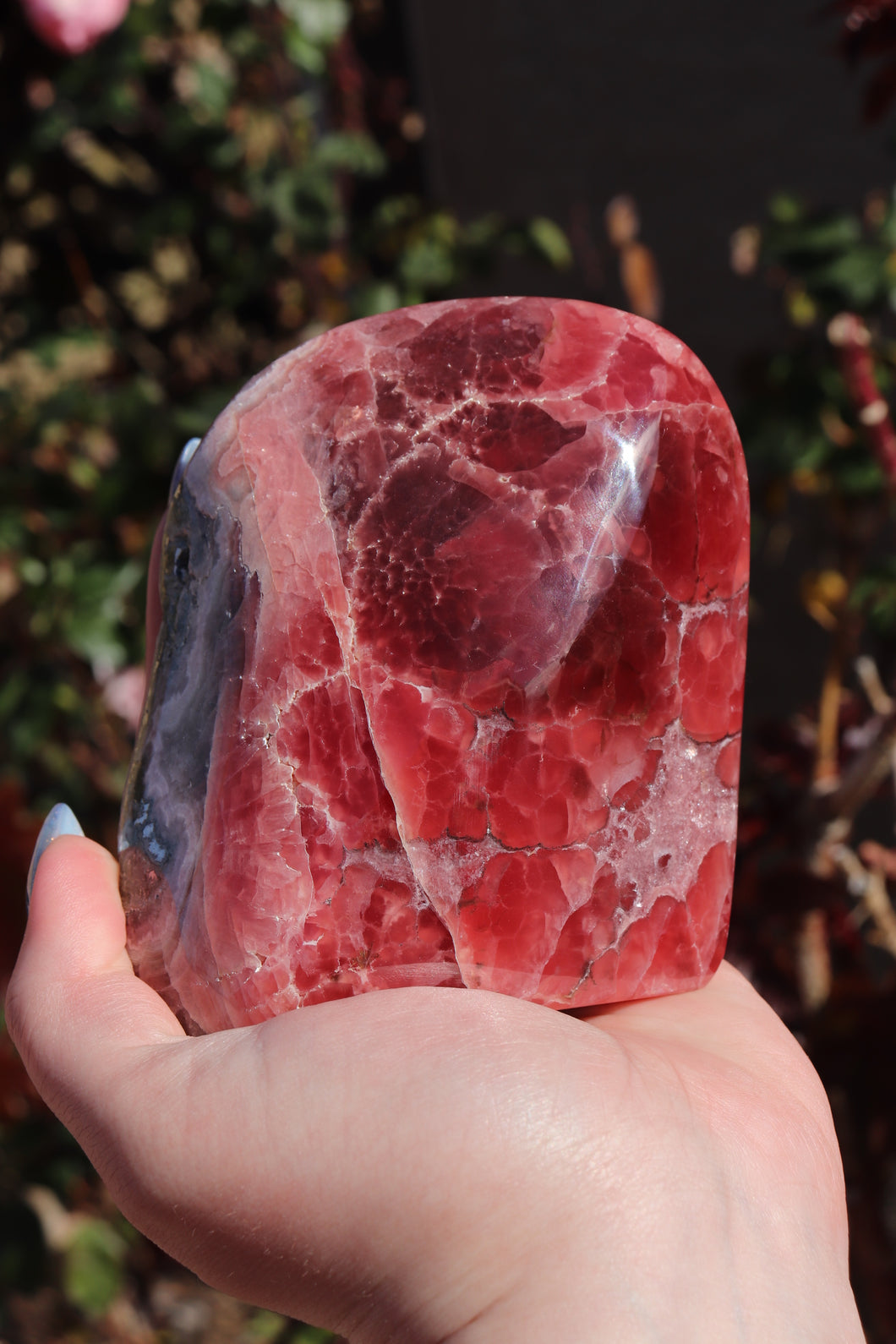 Semi-Polished, High Quality “Jelly” Rhodochrosite Freeform