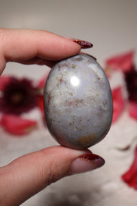 Ocean Jasper Palmstone